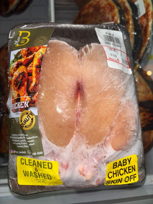 BABY CHICKEN
